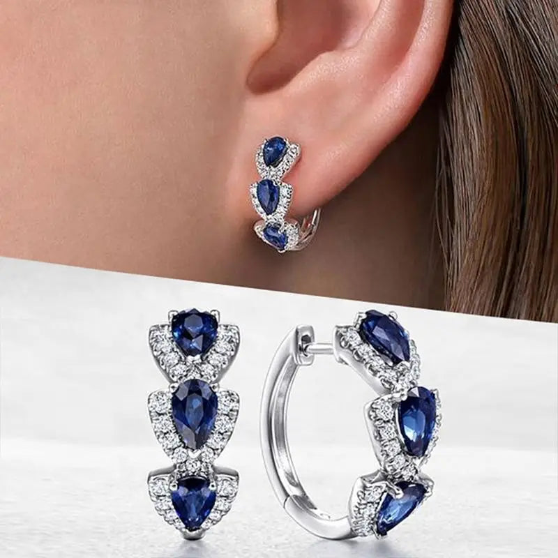 Elisae